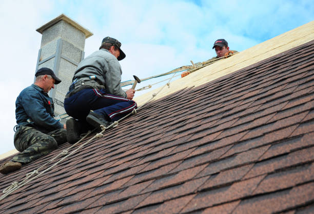 Best Storm Damage Roof Repair  in Bloomingdale, TN